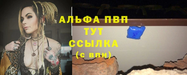 стафф Алзамай