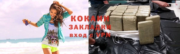 стафф Алзамай