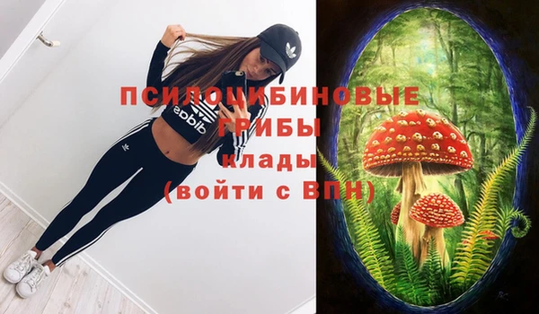 спиды Алексеевка
