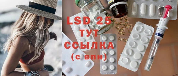 стафф Алзамай