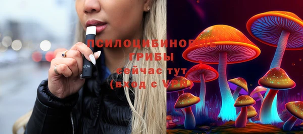 спиды Алексеевка